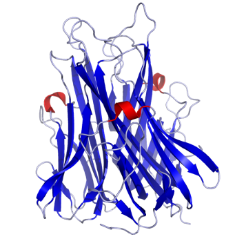 TNFa_Crystal_Structure.rsh